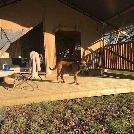 Lapwing Safari Tent Челтнъм Екстериор снимка