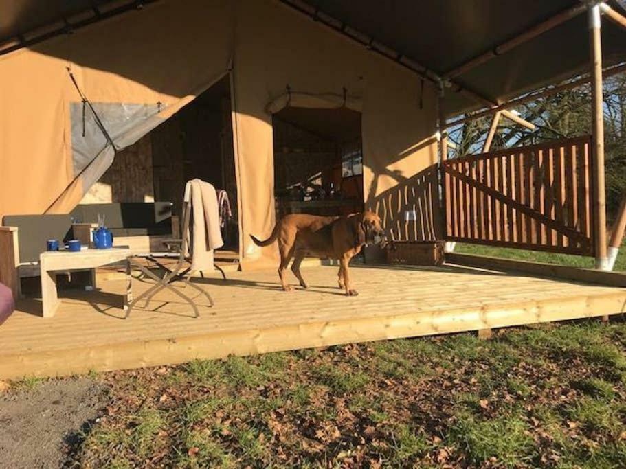 Lapwing Safari Tent Челтнъм Екстериор снимка